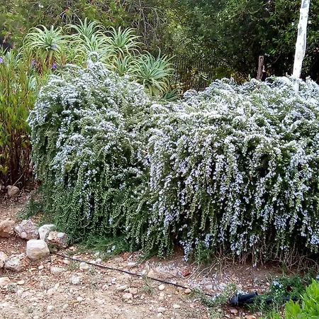 Prázdninový dům Rita - *