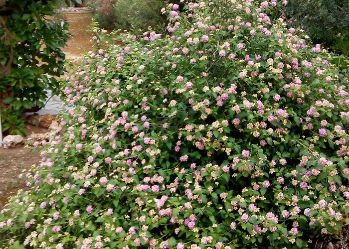 Feriehus Rita - Porto Heli