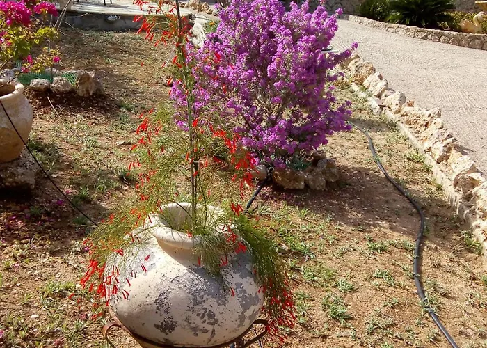 Hébergement de vacances Rita -